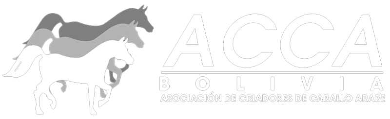 ACCA-BOLIVIA